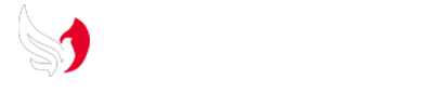 飛鳥国際株式会社